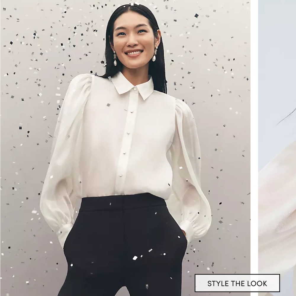 Organza voluminous collared blouse